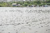 20120607_ (102)